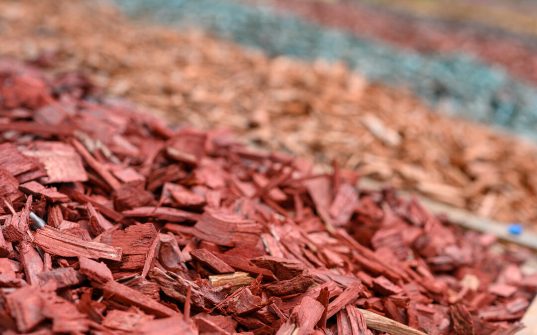 Wood vs. Rubber Mulch: Benefits and Best Uses